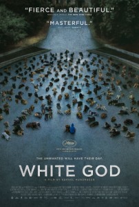 WHITE GOD - Afisul filmului